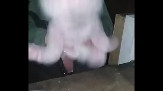 Me fucking my bunny relative to my plc shed